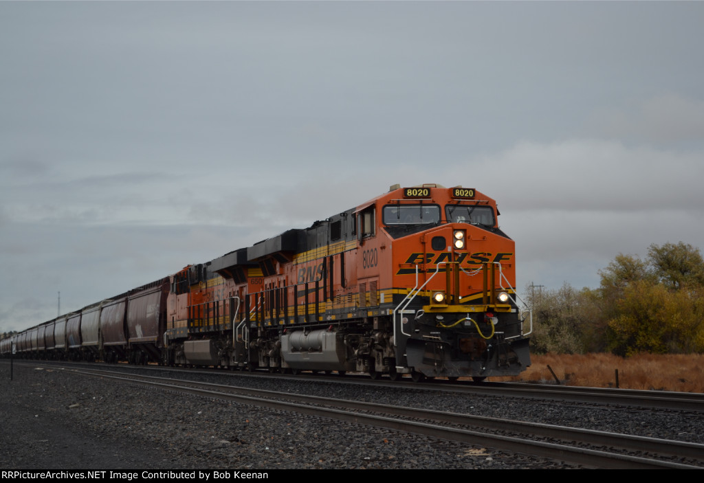 BNSF 8020